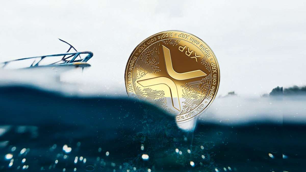 Whale Activity Boosts XRP Price