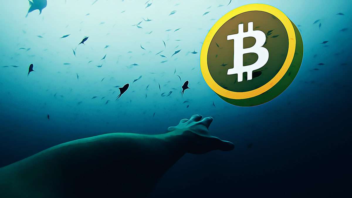Analysts Debate Bitcoin’s Price Trajectory
