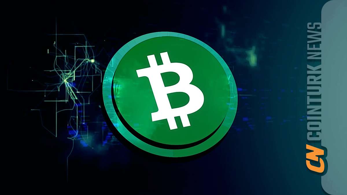 Bitcoin Miners Increase Network Capacity Despite Price Drop