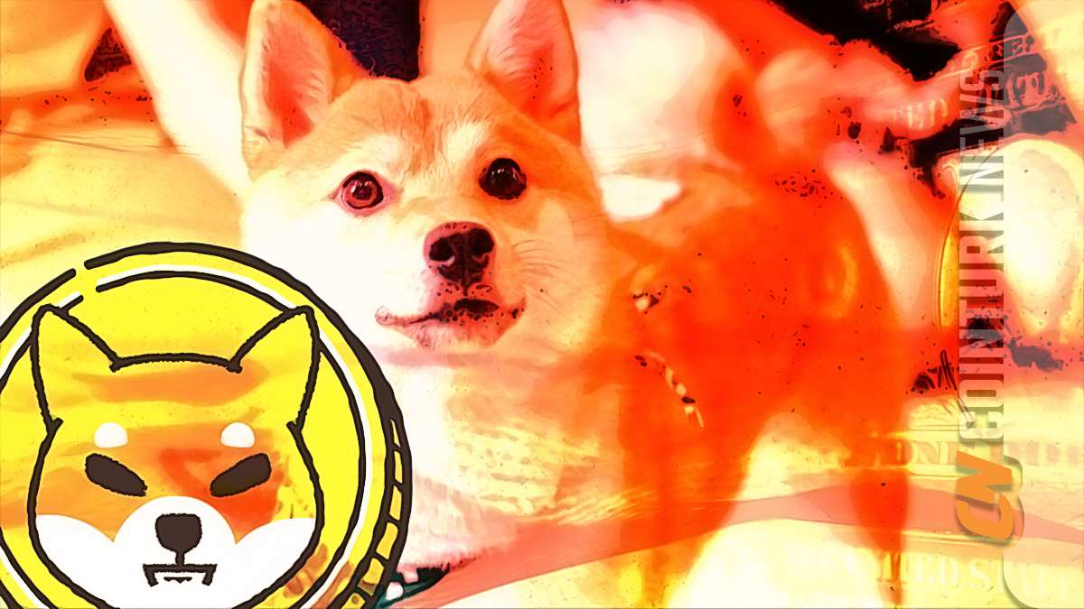 Whales Accumulate Shiba Inu