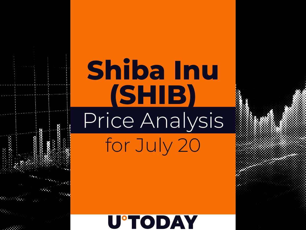 SHIB Price Prediction for July 20