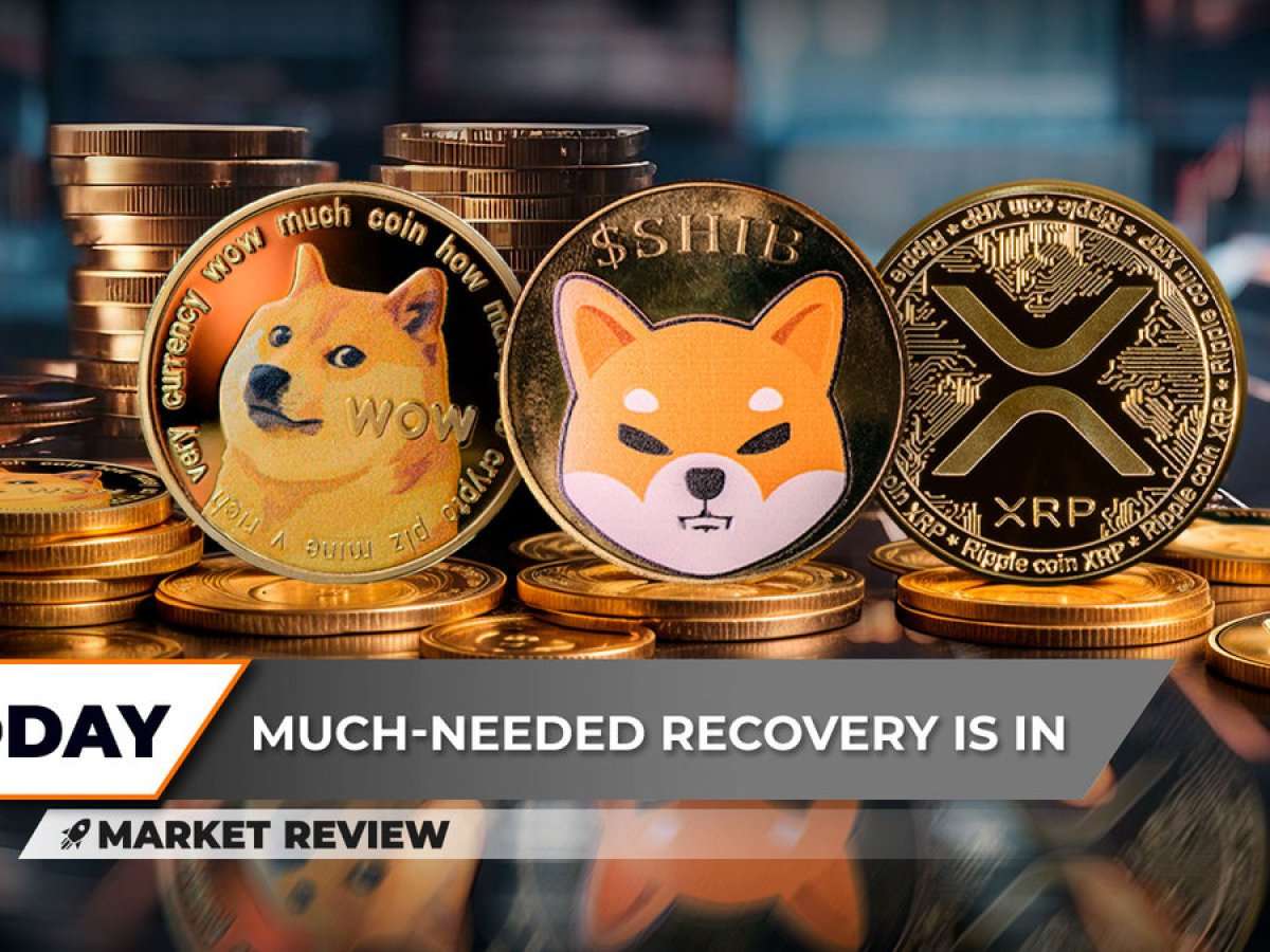 Dogecoin (DOGE) to Remove Zero, Shiba Inu (SHIB) Not Looking Healthy, XRP Catastrophe Avoided, Here's How