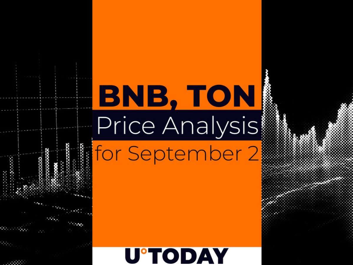 BNB and TON Prediction for September 2