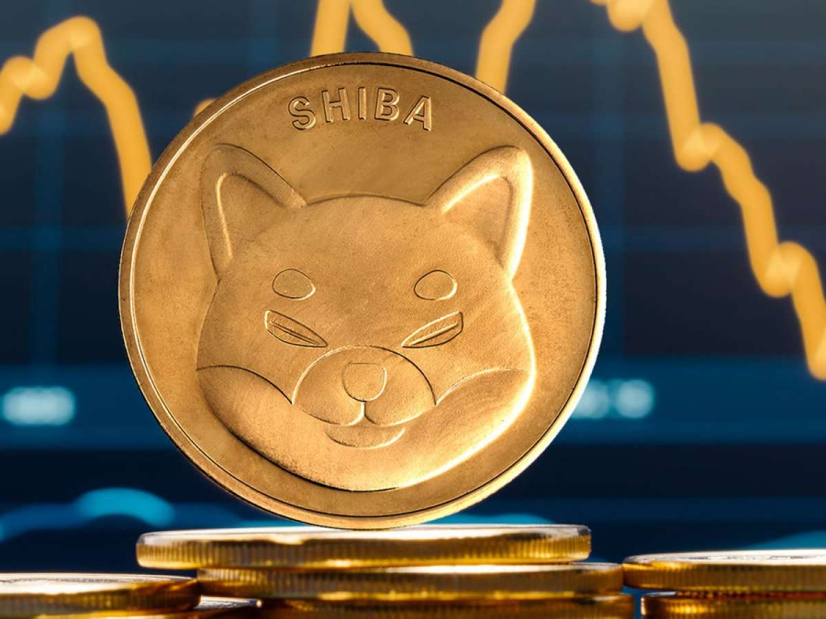 Shiba Inu Inflows Skyrocket 164% as SHIB Preps for Major Rally