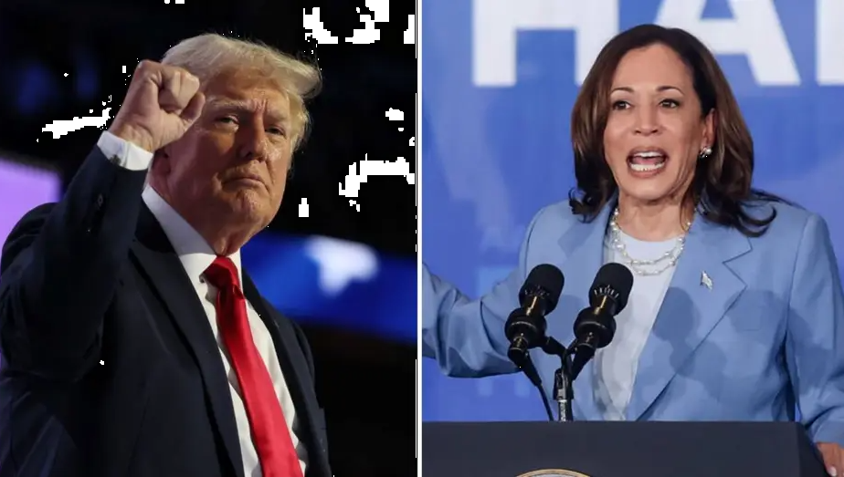 There Are Developments in Favor of the Cryptocurrency Market in the Trump-Harris Showdown