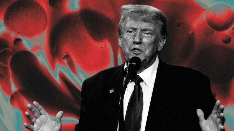 Trump campaign raises $21M during Bitcoin 2024 conference